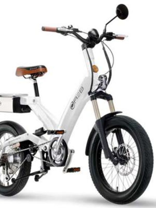 Hero-Eco-Group-to-launch-A2B-electric-pedal-bikes-in-India-soon