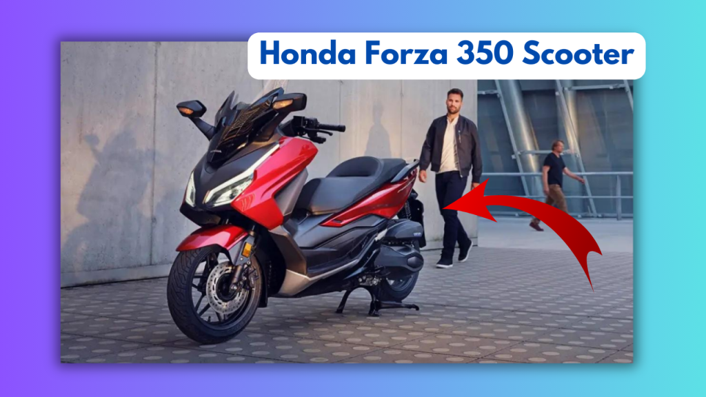 HONDA FORZA 350 – T-MOTO